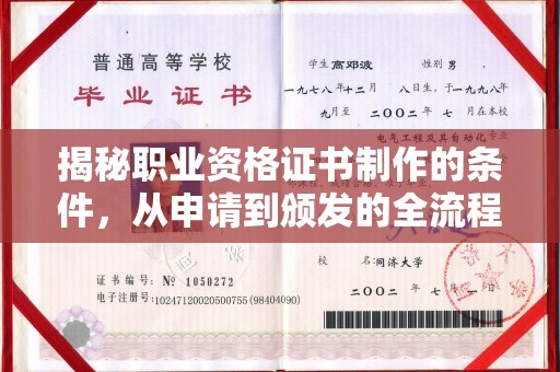 岳阳楼揭秘职业资格证书制作的条件，从申请到颁发的全流程解析